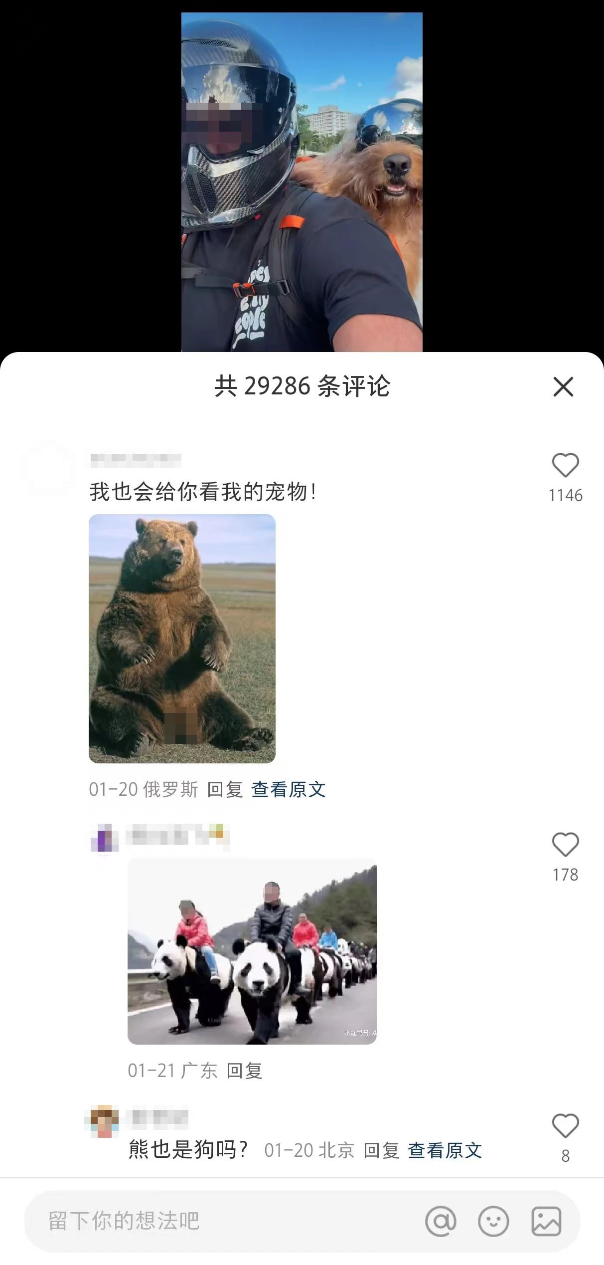 最近的命，小红书给的