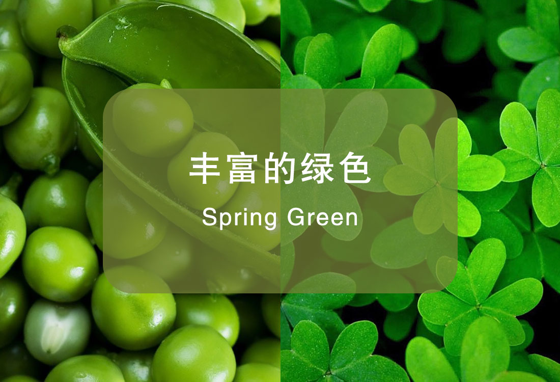 天洋墙布 — 领一抹绿色，解锁家居春日悸动