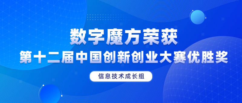 数字魔方荣获第十二届中国创新创业大赛优秀奖