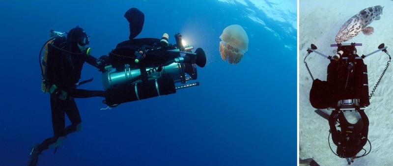 前期拍摄亦或后期观赏：三星Neo QLED 8K全方位展现水下世界的神秘魅力