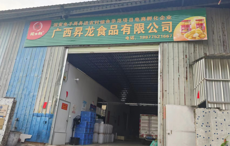 广西昇龙食品有限公司：容县电商公共服务中心孵化的典范，助力脱贫户迈向电商产业链