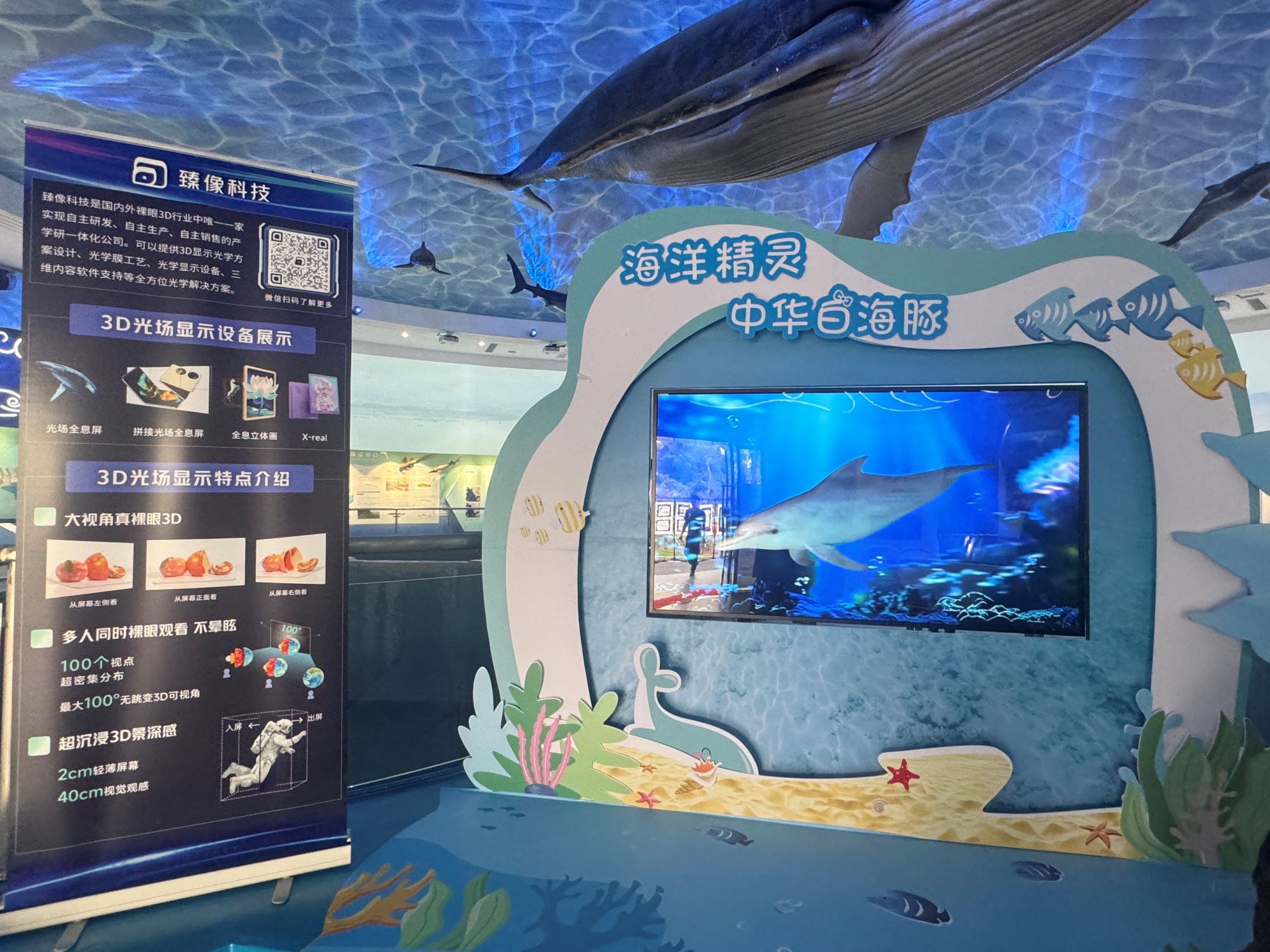 bet356体育亚洲版在线官网臻像光场显示屏精彩亮相中华白海豚保护宣传日活动现场