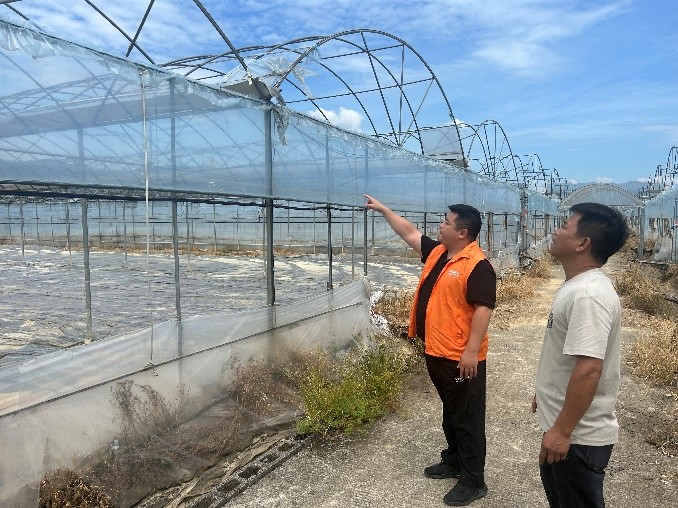 与台风赛跑，福建平安产险全力推进风险减量服务