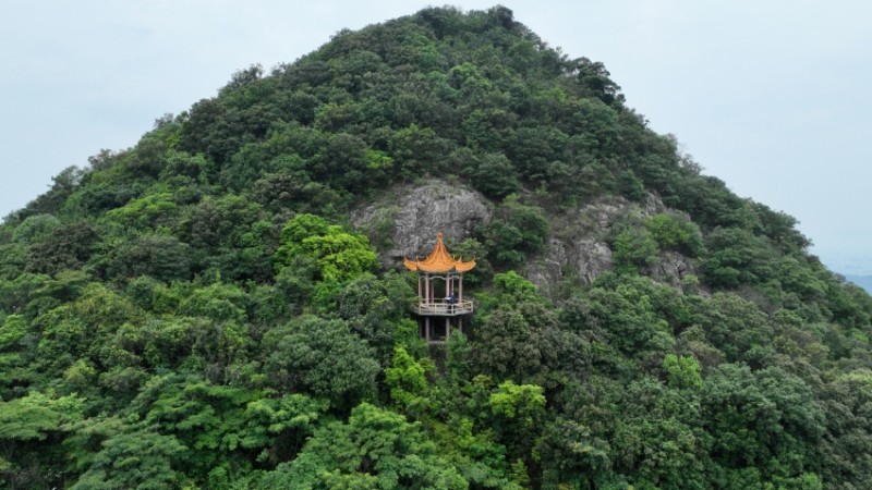 东莞观音山建园25周年征文活动评审结果揭晓