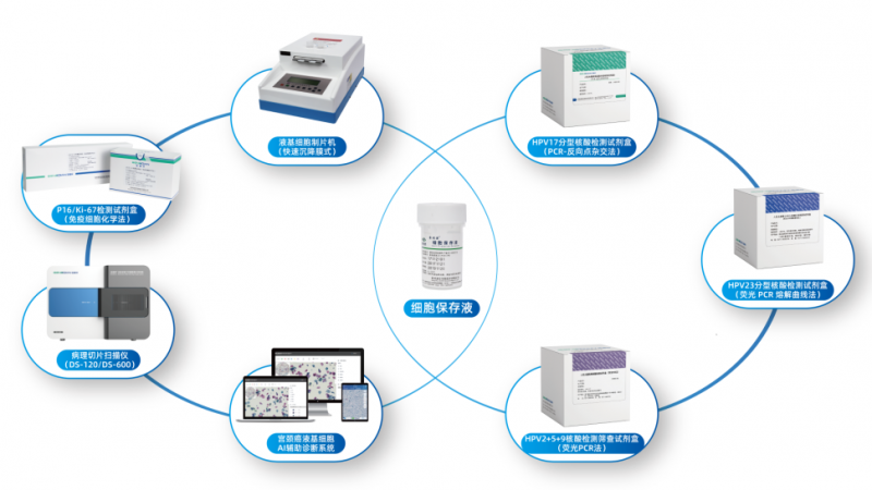 新品上市 | 迪安生物两款HPV检测试剂盒获批NMPA三类注册证