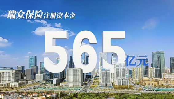 “质”广大而尽精微，怀家国而为民众 ——盘点瑞众保险2024年优质项目投资之道