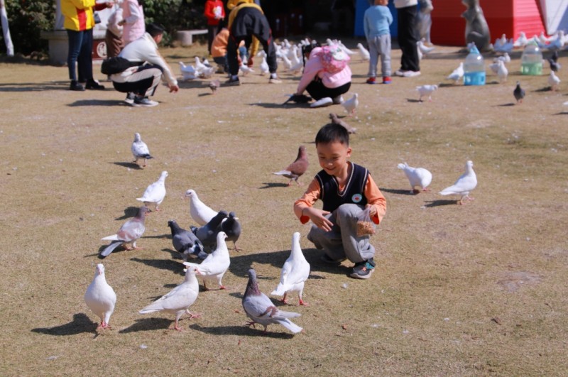 年味足、趣味多  十万余人相约东莞观音山欢乐过大年